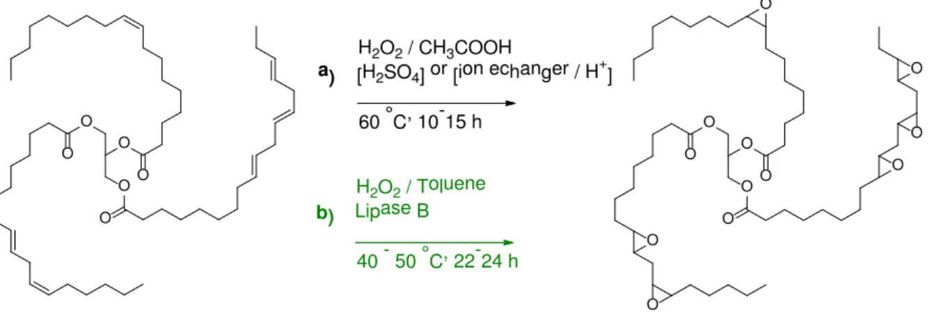 Figure II.11. Examples of strategies for vegetable oil epoxidation: a) Prileshajev method 52,56  b)  enzymatic way