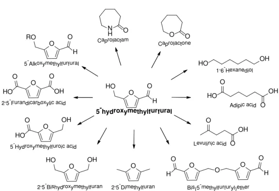 Figure II.14. Building block molecules issued from 5-hydroxymethylfurfural (HMF) as  chemical platform