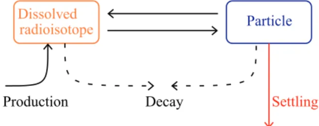 Figure 3. The conceptual reversible scavenging model for the ra- ra-dionuclides. The radioisotopes, 230 Th and 231 Pa, are depicted in orange when in the dissolved phase