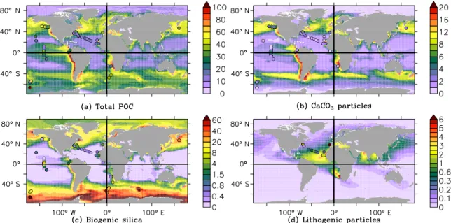 Figure 4. Particle concentrations from the PISCES model at the surface ocean. Observations are represented as coloured discs (Brun-Cottan et al., 1991; Druffel et al., 1992; Lam et al., 2011, 2015)