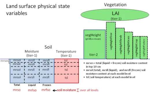 Figure 9. Requested state variables that characterize the physical vegetation structure and the physical state of the soil.