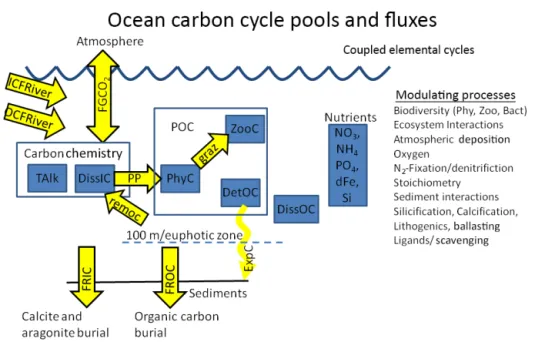 Figure 13. Ocean carbon cycle pools (blue boxes) and fluxes (yellow arrows) with associated processes