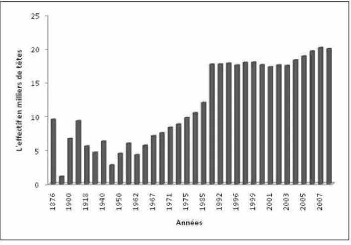 Figure N° 4: Evolution de l’effectif national ovin d’après les statistiques agricoles (1876-2001) et FAO STAT (1998-2008).