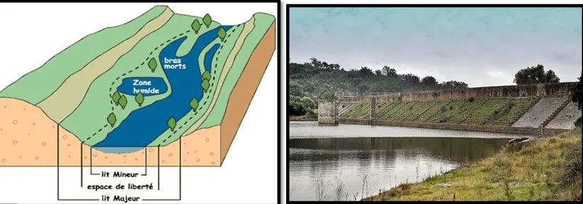 Figure 01: schéma du lit d’un barrage /source : wikipédia.com   Figure 02 : vue partielle d’une cuvette/source : wikipédia.com  