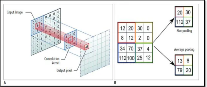 Figure 10 - Illustration des méthodes de convolution et de Pooling. A. Méthode de convolution B