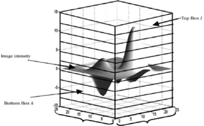Figure III.6 :Représentation graphique du principe de la méthode de « comptage différentiel  des boîtes » 