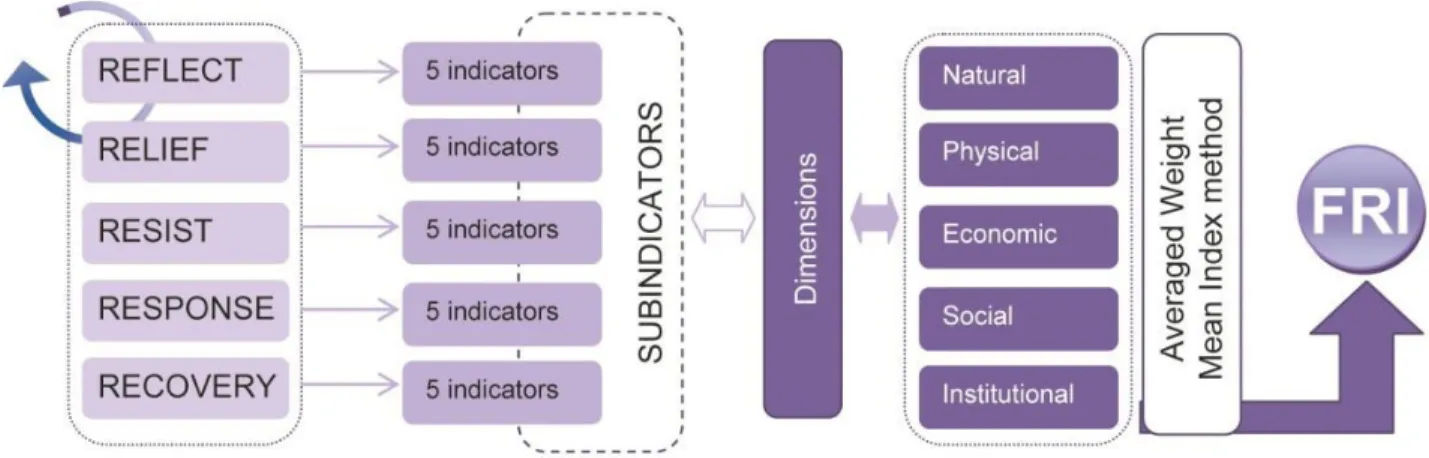 Figure 25: Schematic presentation of FRI evaluation of city/district scale 