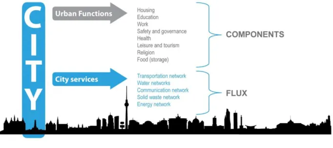 Figure 15:  Mapping of the city according to urban functions and services 