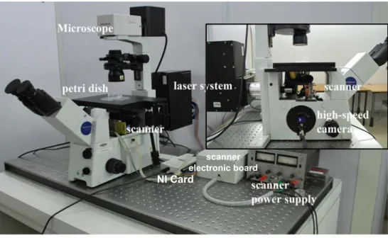 Fig. 2. Experimental setup is composed by a commercial inverted microscope, a high-speed monochrome camera, a laser shot system, a mirror scanner, a NI card, electronic boards and a computer
