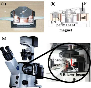 Fig. 4. Calibration of the mirror scanner. (a) Laser positions are obtained from the workspace by image segmentation of the captured image, (b) Laser positions in a linear trajectory obtained with a curve command positions given to the mirror scanner