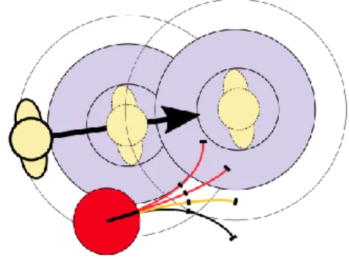 Figure 2: Inflated intimate area 