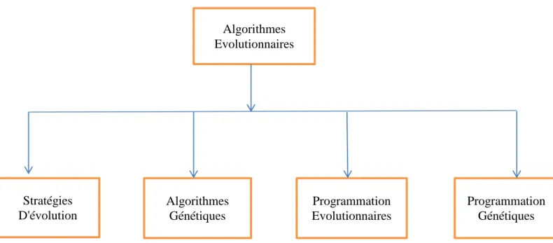 Figure 2.1: Différentes classes d'algorithmes évolutionnaires