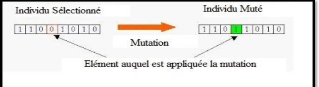 Figure  2.5: Une Mutation [6]. 
