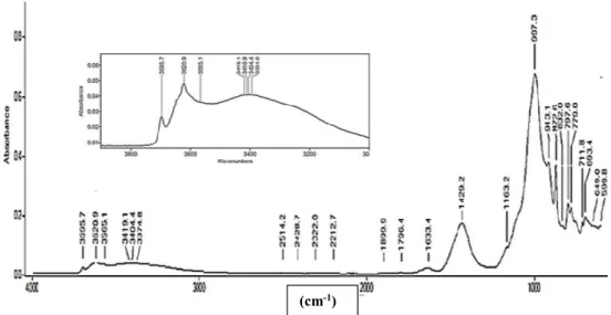 Figure 1. 21 : Analyse FTIR pour les sédiments non calcinés du barrage de Fergoug (Mostefa et al.,  2018)