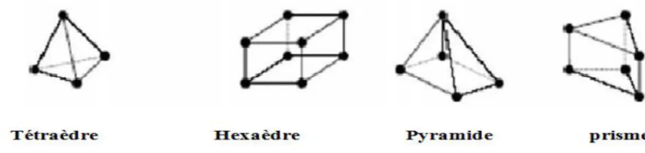Figure II-1 : Exemple des maillages utilisées en volume finis par Fluent. 