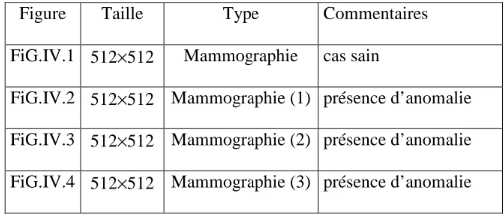 Figure  Taille  Type  Commentaires  FiG.IV.1  512×512  Mammographie  cas sain 