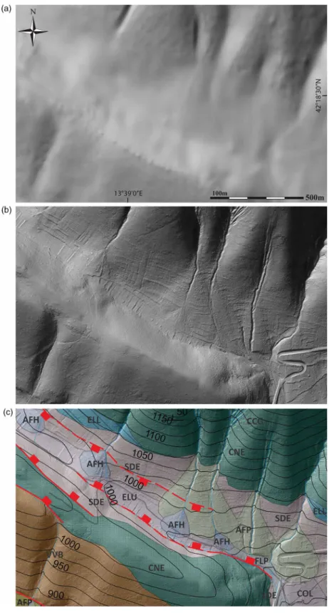 Figure 2. Example of improved high-resolution digital elevation model and application in geological ﬁeld mapping from a ridge close to Castelnuovo village, SE of the study area: (a) standard DEM (5 m-grid) derived from 1:5.000 topographic data (Regione Abr