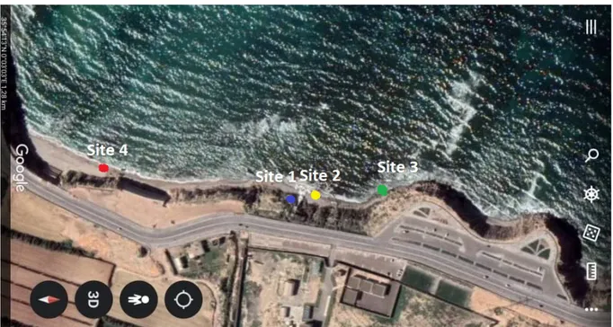 Fig. 3 Site de choix la crique de Salamandre (Google Earth, 2020). 