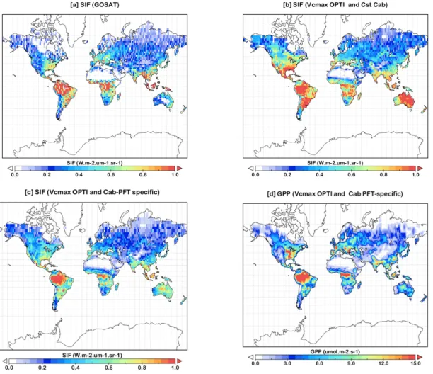 Figure 7. Mean spatial patterns over the year 2010 of (a) satellite GOSAT based fluorescence SIF, (b) CCDAS simulated SIF by using constant value of the chlorophyll AB content (C ab ) for all the 13 PFTs (setting S3 in Table 3), (c) C ab PFT specific (sett