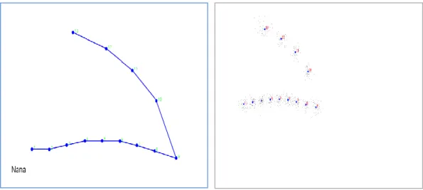 Figure 26 : Présentation géométrique d’un bec ;(A) les 8 liens (distances) inter pointsrepères  qui sont utilisés pour aider à visualiser les transformations des conformations ; (B) variabilité 
