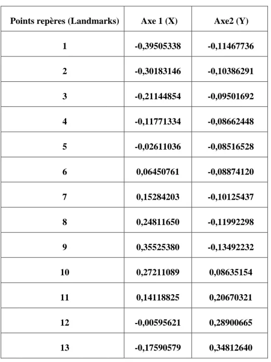 Tableau 06 : Cordonnées des points repères de la forme moyenne du bec « consensus,  nouvelles variables » 