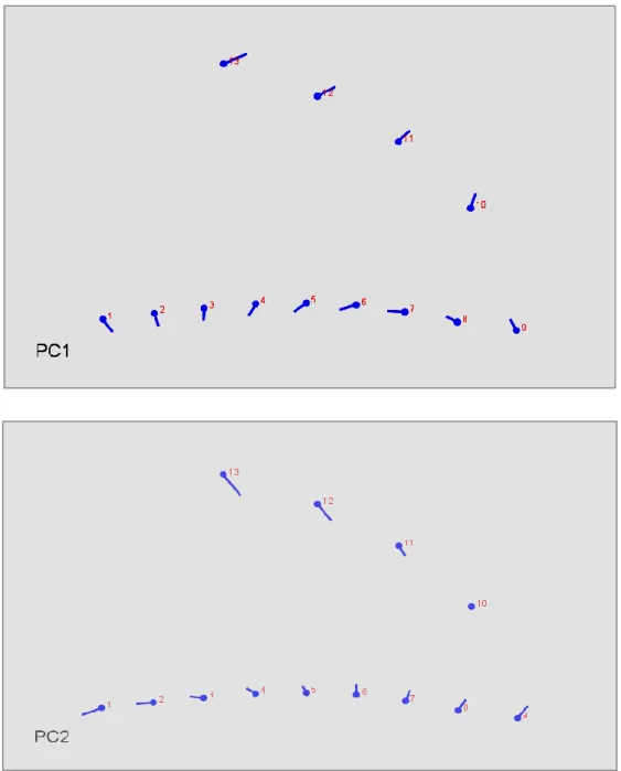 Figure 28 : Présentation de la variation de la forme du bec sur les axes CP1 et CP2 