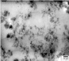 Figure 1 : TEM image of a nanoporous matrix of silica. Coalesced nanoparticle chains and  stacks appear in dark and grey