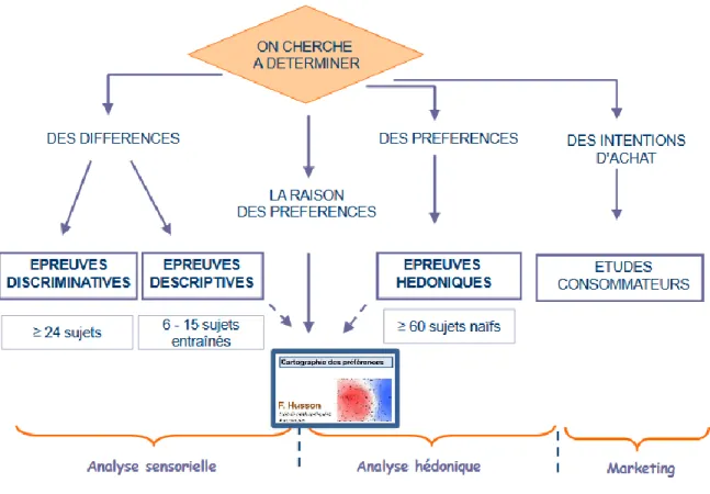 Figure 2. Les grands types d’épreuves en analyse sensorielle (Delacharlerie et al., 2008)