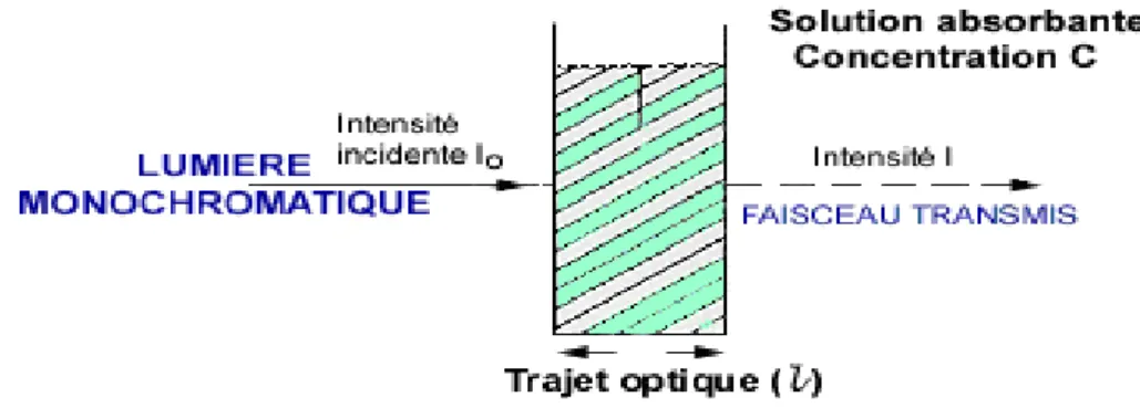 Figure II.1. Principe de l’absorption de la lumière mono chromatique par une solution  absorbante