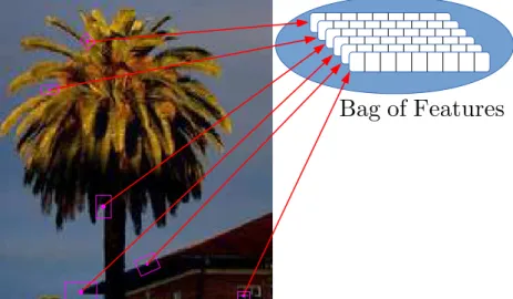 Figure 1.3: Sparse extraction of feature vectors on one image. Pink dots are the detected PoIs and the pink rectangles are the neighborhood from which feature vectors are computed.