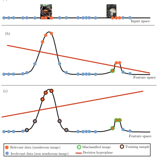 Figure 1.13: (a) Mushroom images forms two separated groups in the description (or input) space