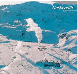 Fig. 1. The Nesjavellir plant.