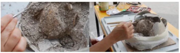 Figure 2: Micro-excavation of a cremation block in a funeral urn. c I. Le Goff (Inrap)