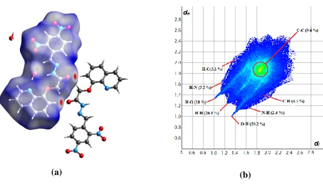 Figure IV.16. (a) Surface d’Hirshfeld de la molécule DBQA (b) Empreintes digitales 2D