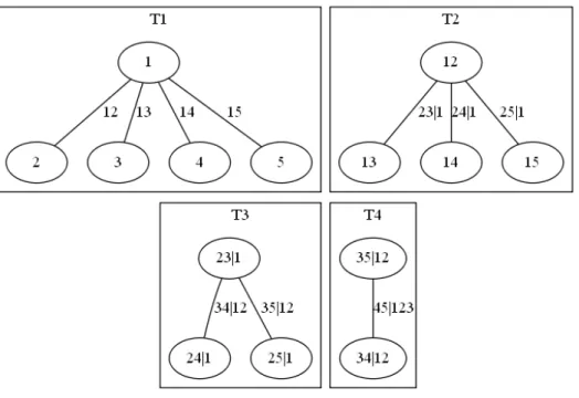Figure 1 shows a canonical vine with five variables. From the figure, we observe that the variable 1 at the root node is a key variable that plays a leading role in governing interactions in the data set.