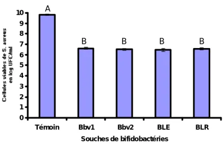 Figure 11 : Viabilité des cellules de S. aureus (log UFC/ml) soumises à l’antagonisme des différentes souches de bifidobatéries pendant 4h de coculture à 37°C dans un rapport cellulaire bifidobactéries/ S
