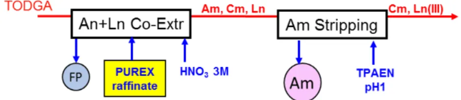 Figure 1: Simplified scheme of the Euro-EXAm process (FP = fission products, An = Am and  Cm, Ln = lanthanides) 