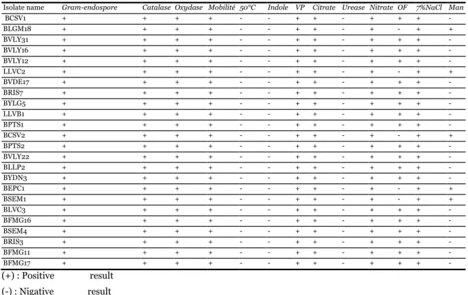 Table 1. Identification of isolates of food spoilage Bacillus cereus. 