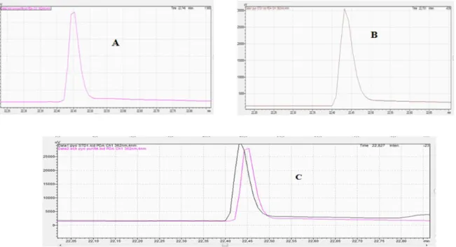 Fig. 6. Identification of pyocyanin by HPLC. (A) Sample of extract pyocyanin from Pseudomonas aeruginosa  (B) standard of pyocyanin and (C) extrapolation of two graphs A and B