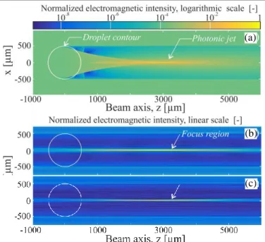 Figure 2 : Intensité du champ proche électromagnétique - (a) calcul direct avec la TLM; Reconstructions avec la  THFG lorsque l'hologramme est ; (b) généré avec la TLM ; et (c) enregistré expérimentalement (seulement une  propagation inverse)