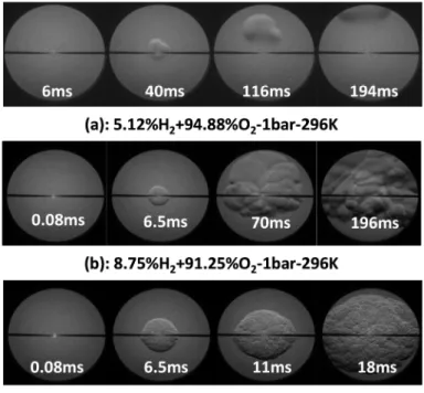 Figure 3 Probability distribution for tests of H 2 /O 2  mixtures initially at 1 bar and 296 K