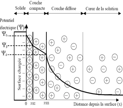 Figure I-14. Représentation schématique de l’interface solide-solution et variation de la  distribution des charges et du potentiel électrique
