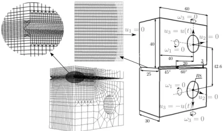 Figure 3 – Maillage et conditions aux limites