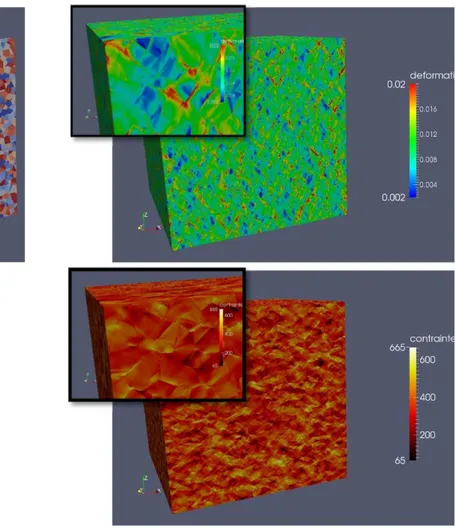 Figure 2 : Agrégat polycristallin (42875 grains) avec les champs de contrainte et deformation axiaux  correspondants (résolution de l’image 1024x1024x1024) 