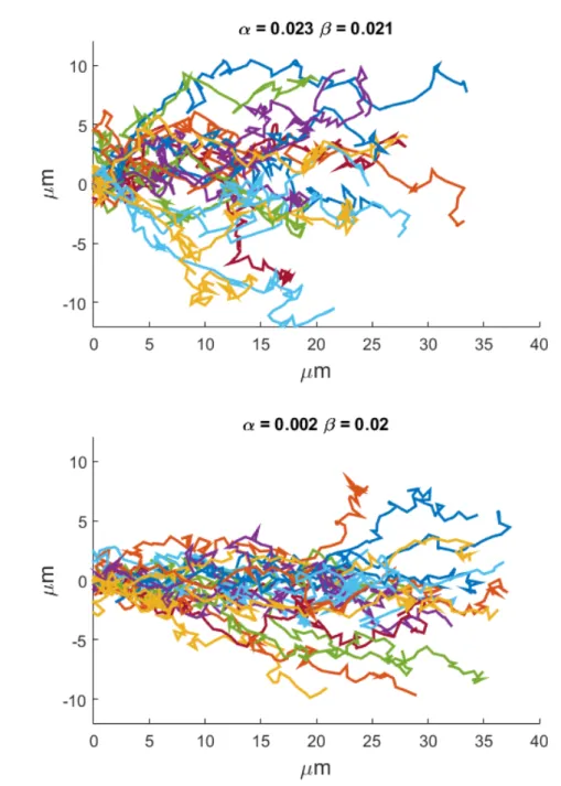 Fig. 4.10 Simulations using parameters estimated from data considering the axons altogether.