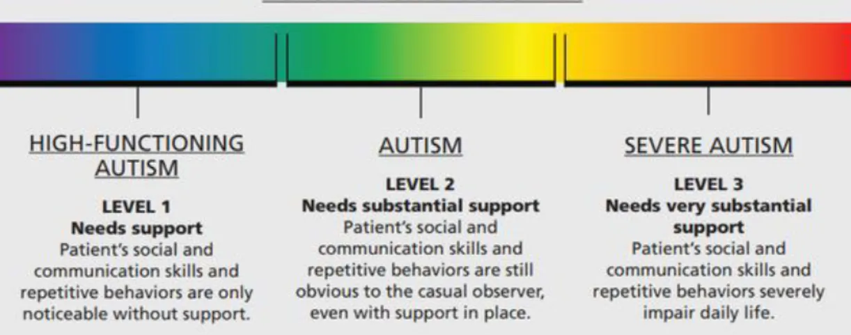 Figure 1: Autism Spectrum Disorder Scale  