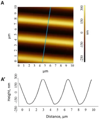 Figure 9. AFM image of the Naph–Azo–Psi film irradiated with a 488-nm laser wavelength (relief amplitude5 530 nm, SRG periodicity 5 3.6 lm, film thickness5 700 nm)