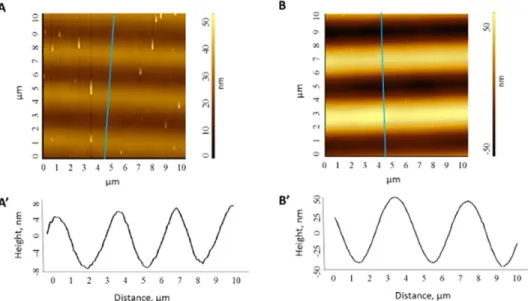 Figure 4. AFM images of the SRG corresponding to sample 3: (A) laser fluence of 14 mJ/cm and 200 pulses (relief amplitude 5 300 nm) and (B) laser fluence of 16.5 mJ/cm and 200 pulses (relief amplitude 5 300 nm)