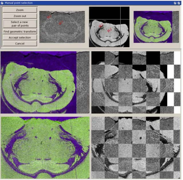 Figure 3 shows the application of EasyReg2D on a microscopy image and a Tof-SIMS image  of a rat brain tissue provided by French National Center for Scientific Research – Institute for  Natural Substance Chemistry (CNRS-ICSN)