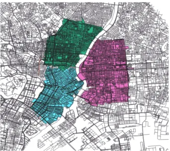 FIG. 8: Streets of New York, United States. Two areas will be studied: Manhattan (pink) and Staten Island (green).